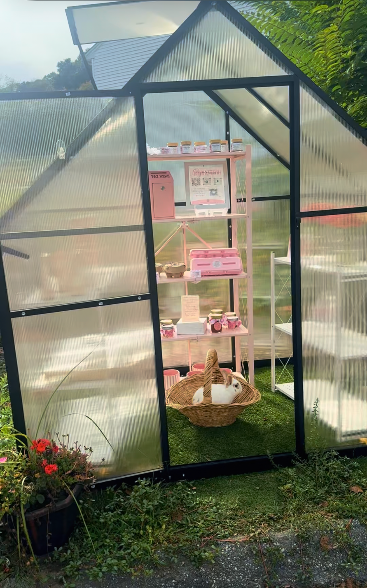 The Pink Dozen β 12 Farm-Fresh Eggs