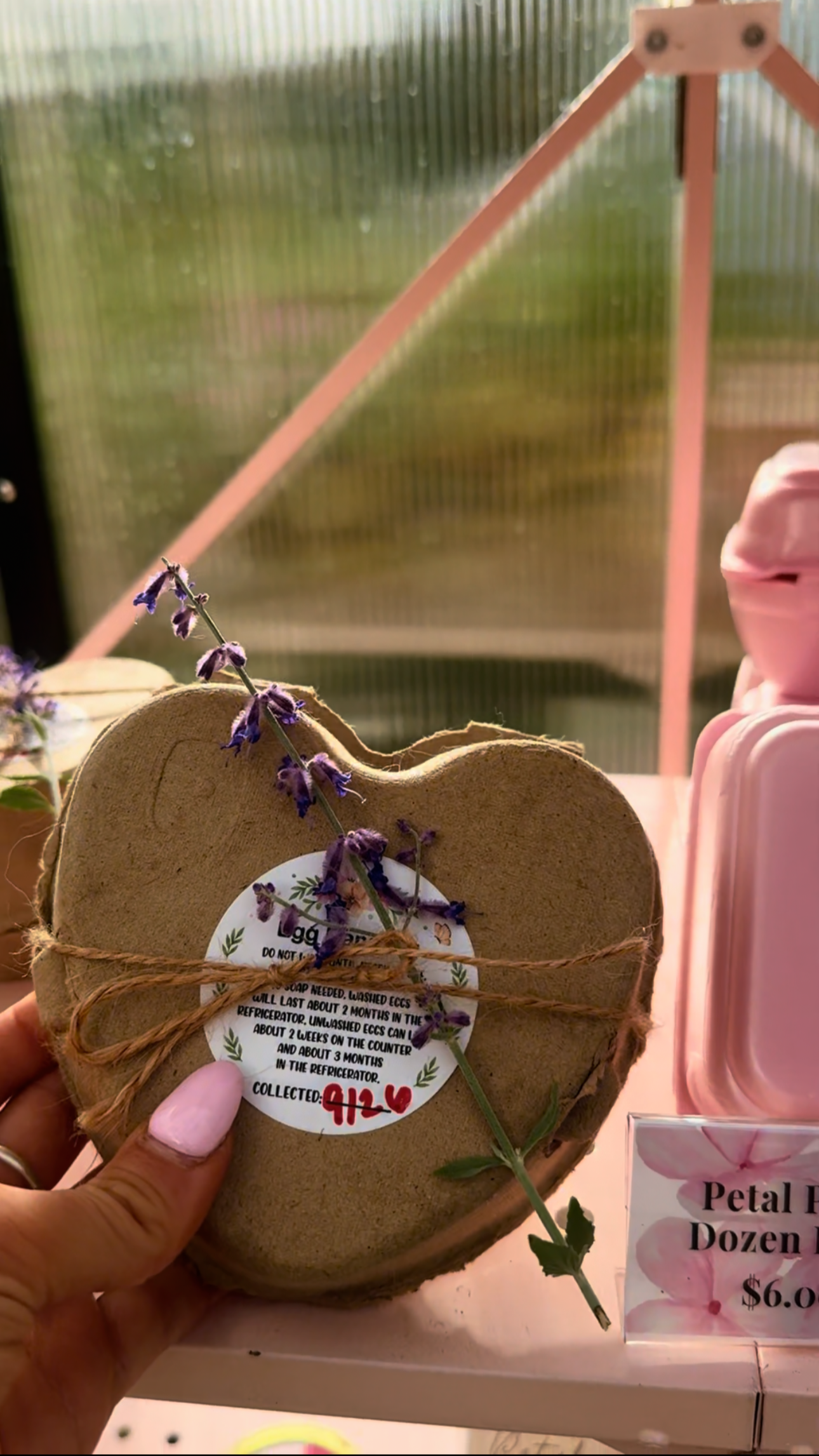 Herb Heart Trio – 3 Farm-Fresh Eggs with Fresh Herb