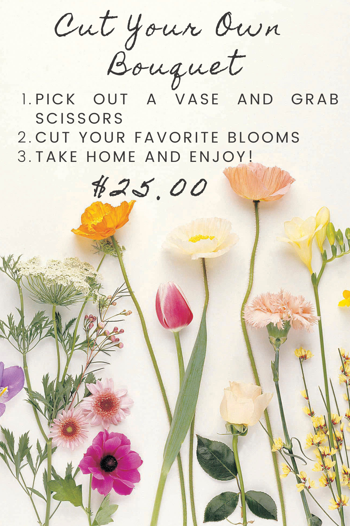 Cut-Your-Own Fresh Cut Bouquet Experience– Petals & Potions Farmstand