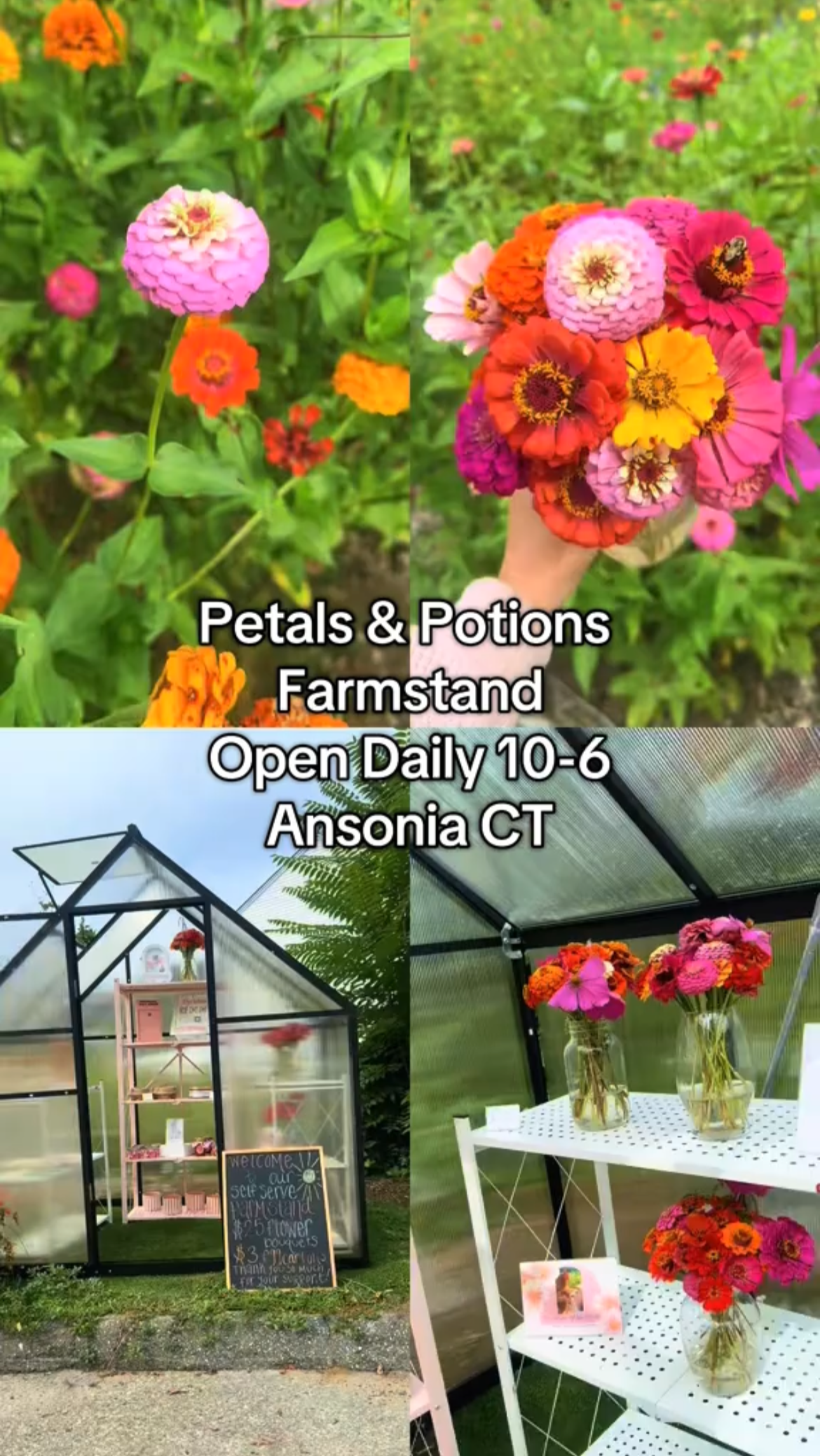 Cut-Your-Own Fresh Cut Bouquet  Experience– Petals & Potions Farmstand