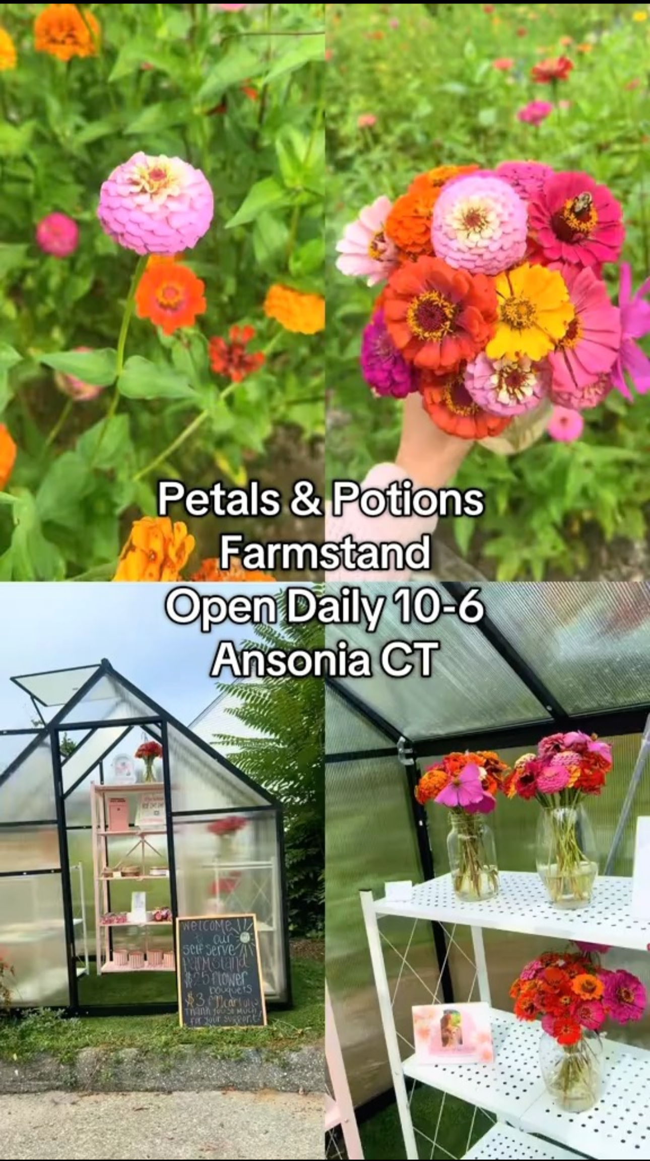 Fresh Cut Kraft Paper & String Bouquet – Petals & Potions Farmstand