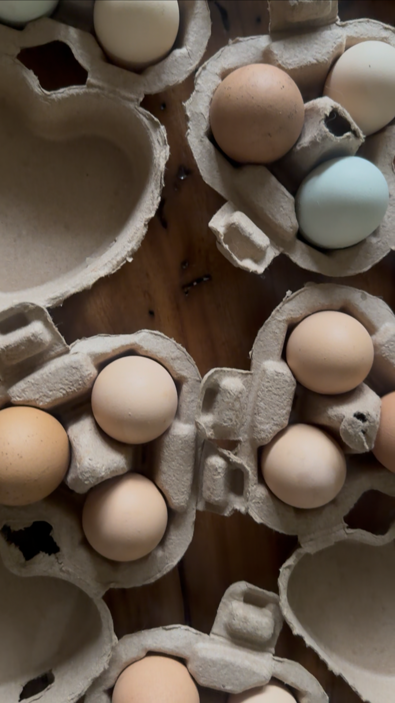 Herb Heart Trio – 3 Farm-Fresh Eggs with Fresh Herb