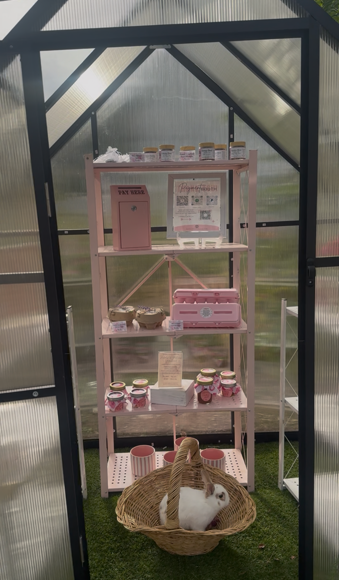 The Pink Dozen – 12 Farm-Fresh Eggs