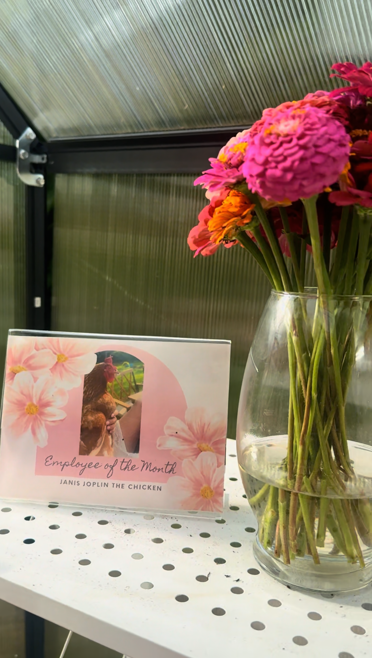 Fresh Cut Vase Bouquet – Petals & Potions Farmstand